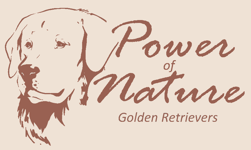 Power of Nature Golden Retrievers